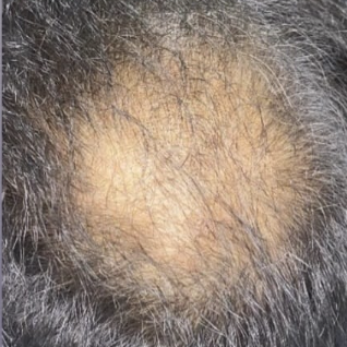 Screenshot 2025-11-15 at 8.33.07 PM Screenshot 2025-11-15 at 8.33.07 PM